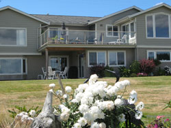 Exterior and lawn, looking towards house